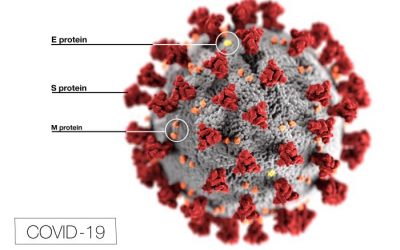 LeafTech Publicly Releases COVID-19 Response Policy