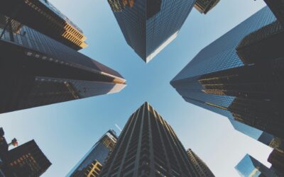 How VertexCFO Transformed LeafTech’s Financial Horizons